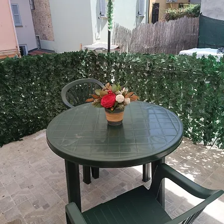 Check In Apartment *